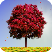 Autumn Trees Live Wallpaper