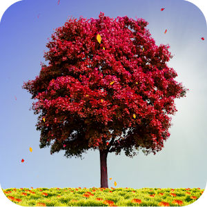 Autumn Trees Live Wallpaper.apk 1.22