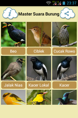 Master Suara Burung