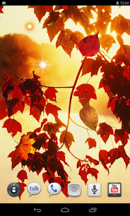 download Autumn Firefiles livewallpaper free