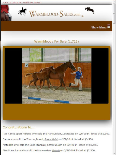 Warmblood-Sales.com Since 1999