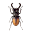 Beetle simulator Download on Windows