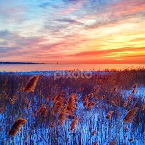 Sunrise at Tod's Point, Old Greenwich, CT. by John Hayes - Landscapes Sunsets & Sunrises