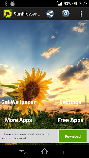 免費下載個人化APP|Sunflower live wallpaper app開箱文|APP開箱王