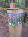 Wildwood-Redwood Trails Trailmarker