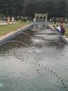 Snake Fountain 