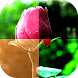 Photo Effects icon