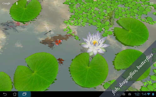 3D Lotus Pond Live Wallpaper(圖3)-速報App