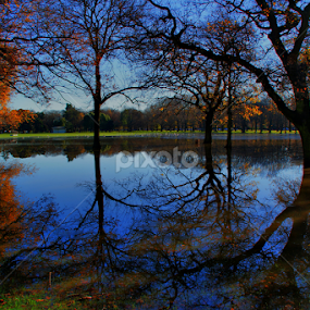 Hagley Park  by Tim Bennett - City,  Street & Park City Parks