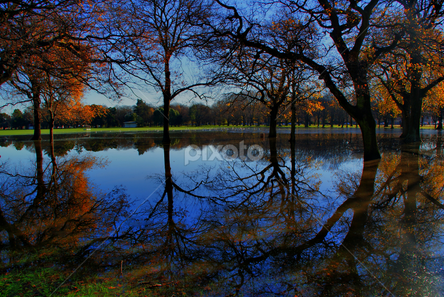 Hagley Park  by Tim Bennett - City,  Street & Park City Parks