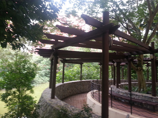 Mangrove Pavilion