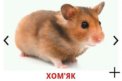 Картки Домана(圖2)-速報App