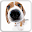 DOG LICKS SCREEN LWP PRO Download on Windows