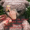 Bear Interactive LWP logo