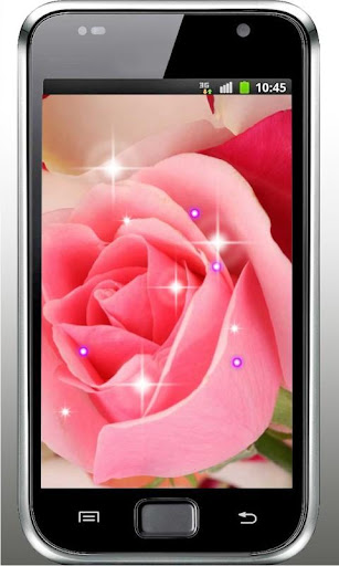 Pink Rose HD live wallpaper