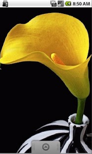 Lastest Yellow Fashion Live Wallpaper APK