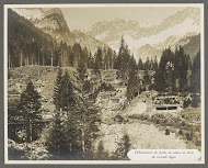 Ontboste berghellingen met schuilplaatsen achter het front in de Dolomieten