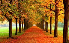 Autumn Live Wallpapersのおすすめ画像3