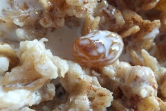 Overnight Maple French Toast Bake