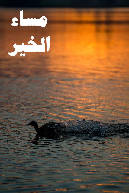 4WI9FuPIbT6sAuNUqRyddYQtZe1GWLt7uryPPLTYA3EMhpR9tfK5y-tzBgAM3E1dBb0=h900