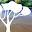 Oodnadatta Outback Track Guide Download on Windows