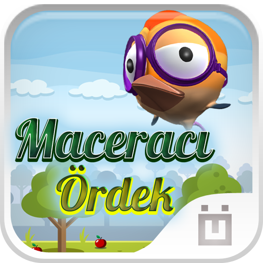 Maceracı Ördek