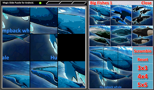 Magic Slide Puzzle B Fishes 1