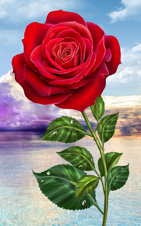 Rose, magiska touch blommor – Android-appar på Google Play