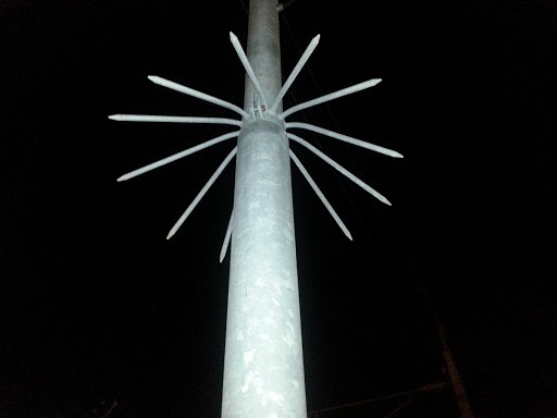 Porchipine Pole