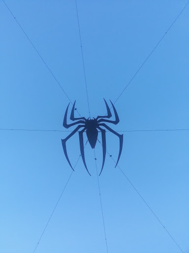 Spider in the Sky
