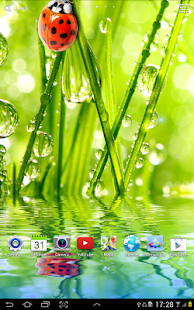 Macro Photos Live Wallpaper(圖6)-速報App