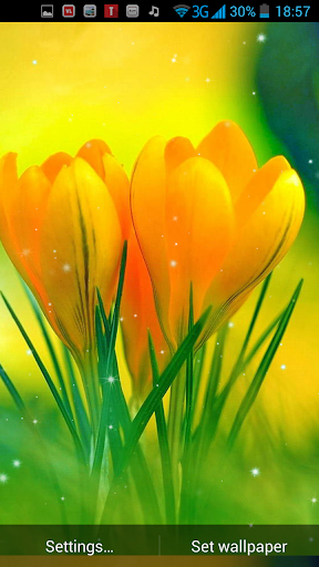 免費下載個人化APP|春天的花朵動態壁紙 app開箱文|APP開箱王