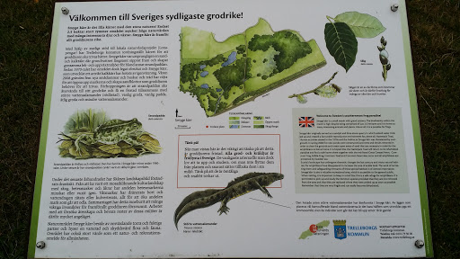 Sweden's South most Frog Kingdom 