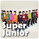 Super Junior (KPopLive)