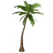 Palm Sticker