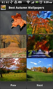 Best Autumn Wallpapers