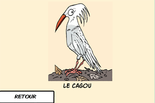 Les oiseaux du Caillou Phone