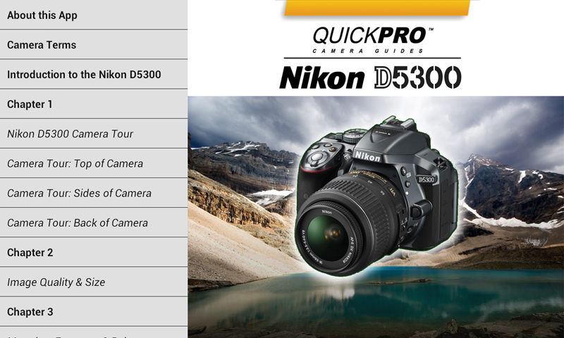 Nikon D5300 from QuickPro Screen 2