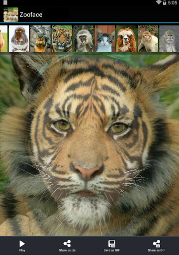 Zooface - GIF Animal Morph 1.3.6 screenshots 7