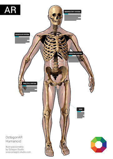 OctagonAR Humanoid