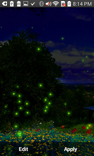 Fireflies Live Wallpaper