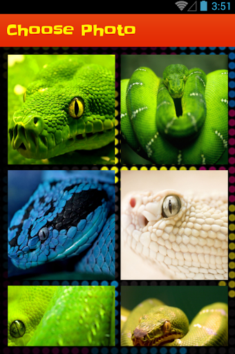 Snake Slide Puzzle Game