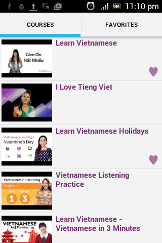 Vietnamese Courses