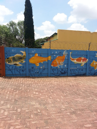 Fish Wall Mural