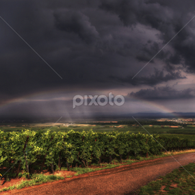 rainbow over the vineyards ... by Joseph Muller - Landscapes Weather