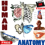 Cover Image of Download 3D Video Anatomy Lectures 2.2 APK