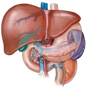 Lastest Liver Disease APK for Android