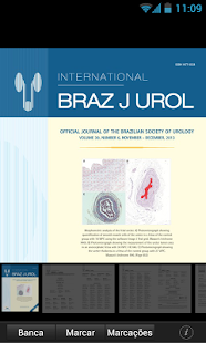 Braz J Urol Screenshots 13