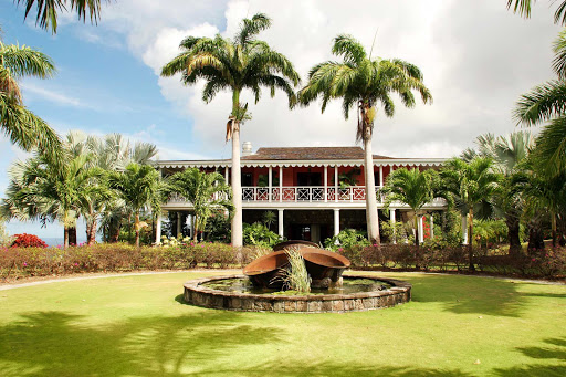 Nevis-Botanical-Gardens - The Botanical Gardens of Nevis, a fragrant collage of palms, orchids, water lily ponds, bamboo groves and other tropical flora. 