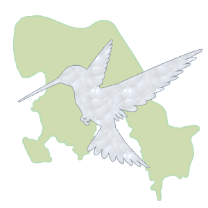 Bird Guide - Manuel Antonio NP